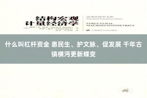 什么叫杠杆资金 惠民生、护文脉、促发展 千年古镇横沔更新蝶变