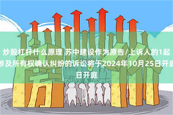 炒股杠杆什么原理 苏中建设作为原告/上诉人的1起涉及所有权确认纠纷的诉讼将于2024年10月25日开庭