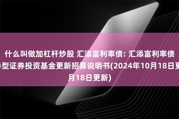 什么叫做加杠杆炒股 汇添富利率债: 汇添富利率债债券型证券投资基金更新招募说明书(2024年10月18日更新)