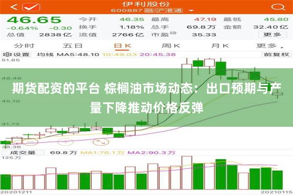 期货配资的平台 棕榈油市场动态：出口预期与产量下降推动价格反弹