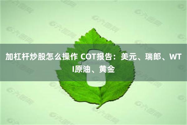 加杠杆炒股怎么操作 COT报告：美元、瑞郎、WTI原油、黄金