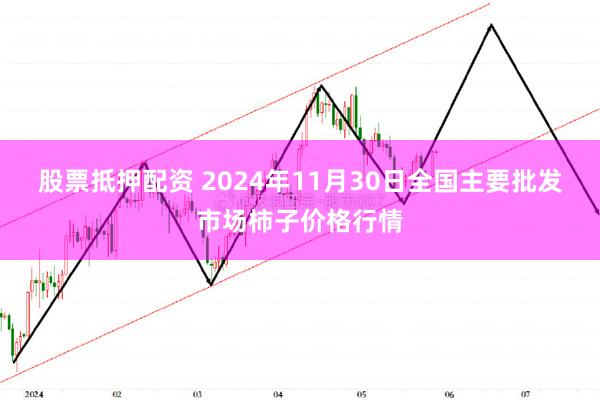 股票抵押配资 2024年11月30日全国主要批发市场柿子价格行情