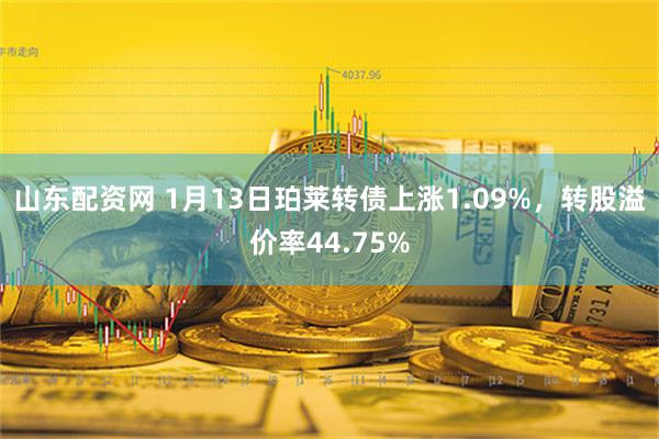 山东配资网 1月13日珀莱转债上涨1.09%，转股溢价率44.75%