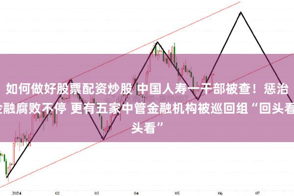 如何做好股票配资炒股 中国人寿一干部被查！惩治金融腐败不停 更有五家中管金融机构被巡回组“回头看”